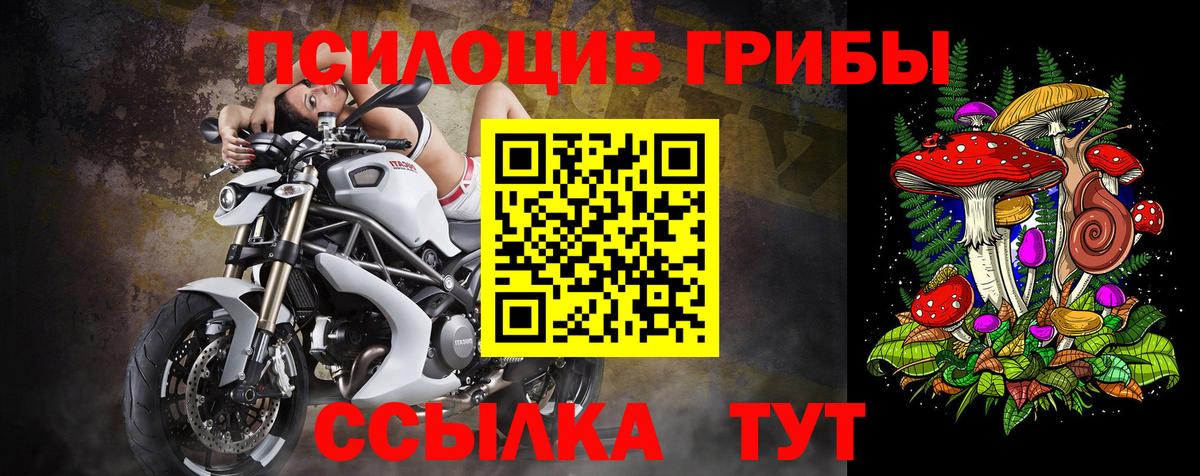 Галлюциногенные грибы GOLDEN TEACHER Великий Новгород